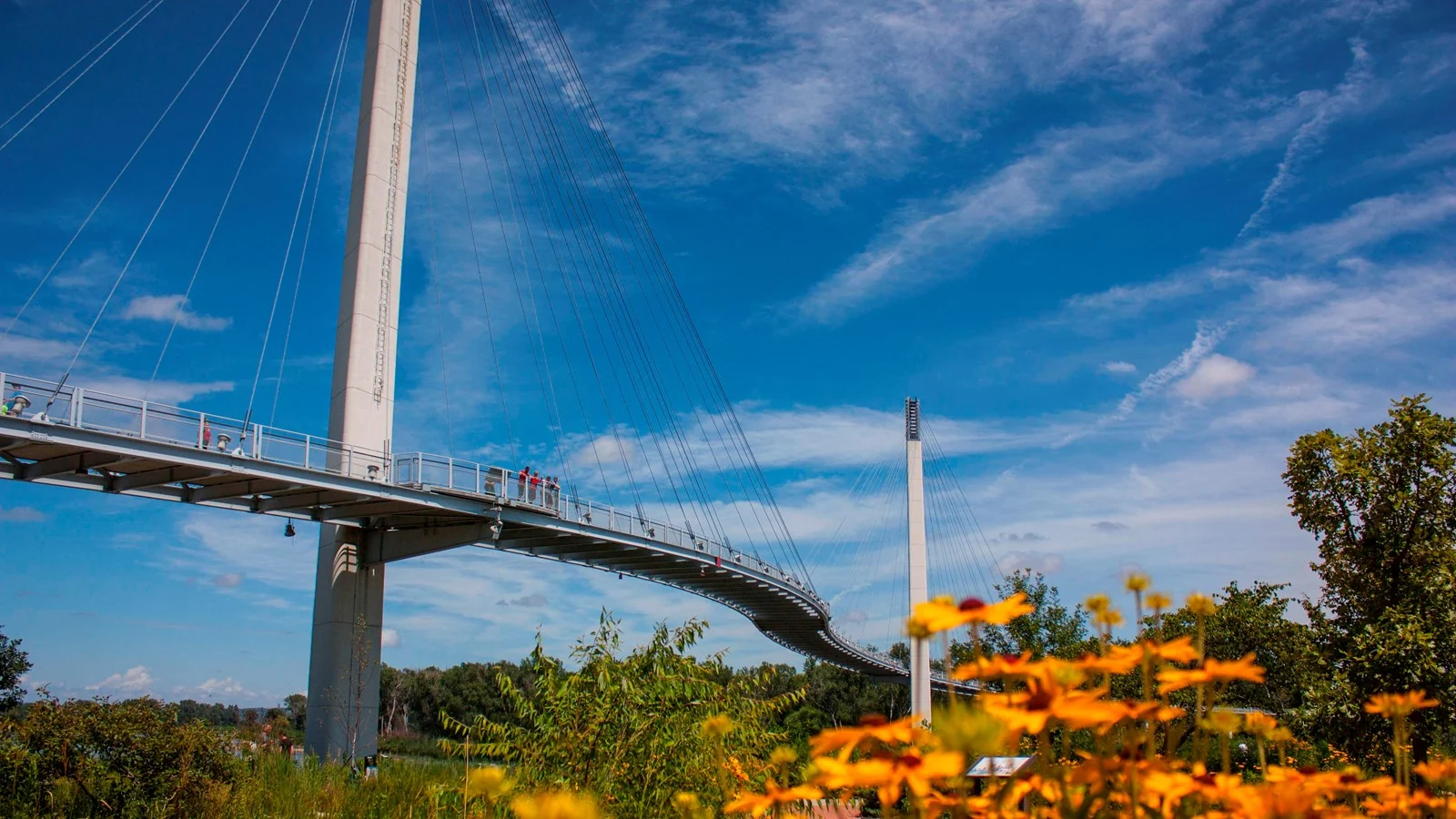 The Bob Kerrey Pedestrian Bridge with green vegetation and yellow flowers in the foreground
